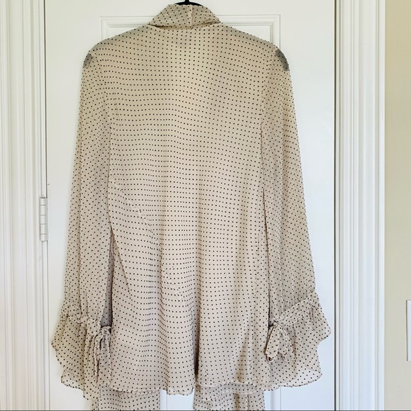 HOSS INTROPIA (ANTHROPOLOGIE) Cream w/ black polka dots Chiffon 2-Layer Blouse - Picture 6 of 12